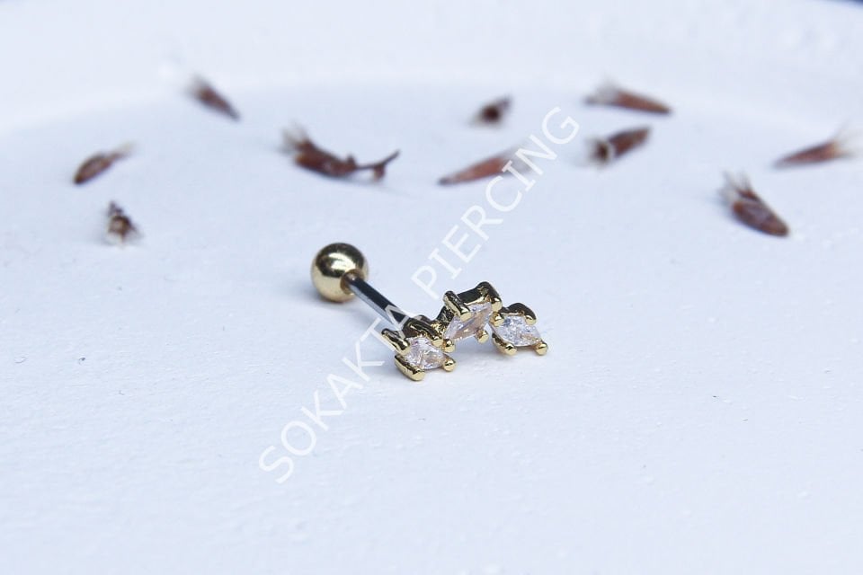 B8 - TRAGUS Silver