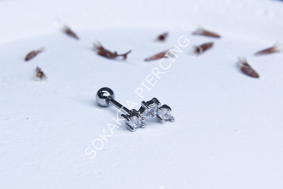 B8 - TRAGUS Silver