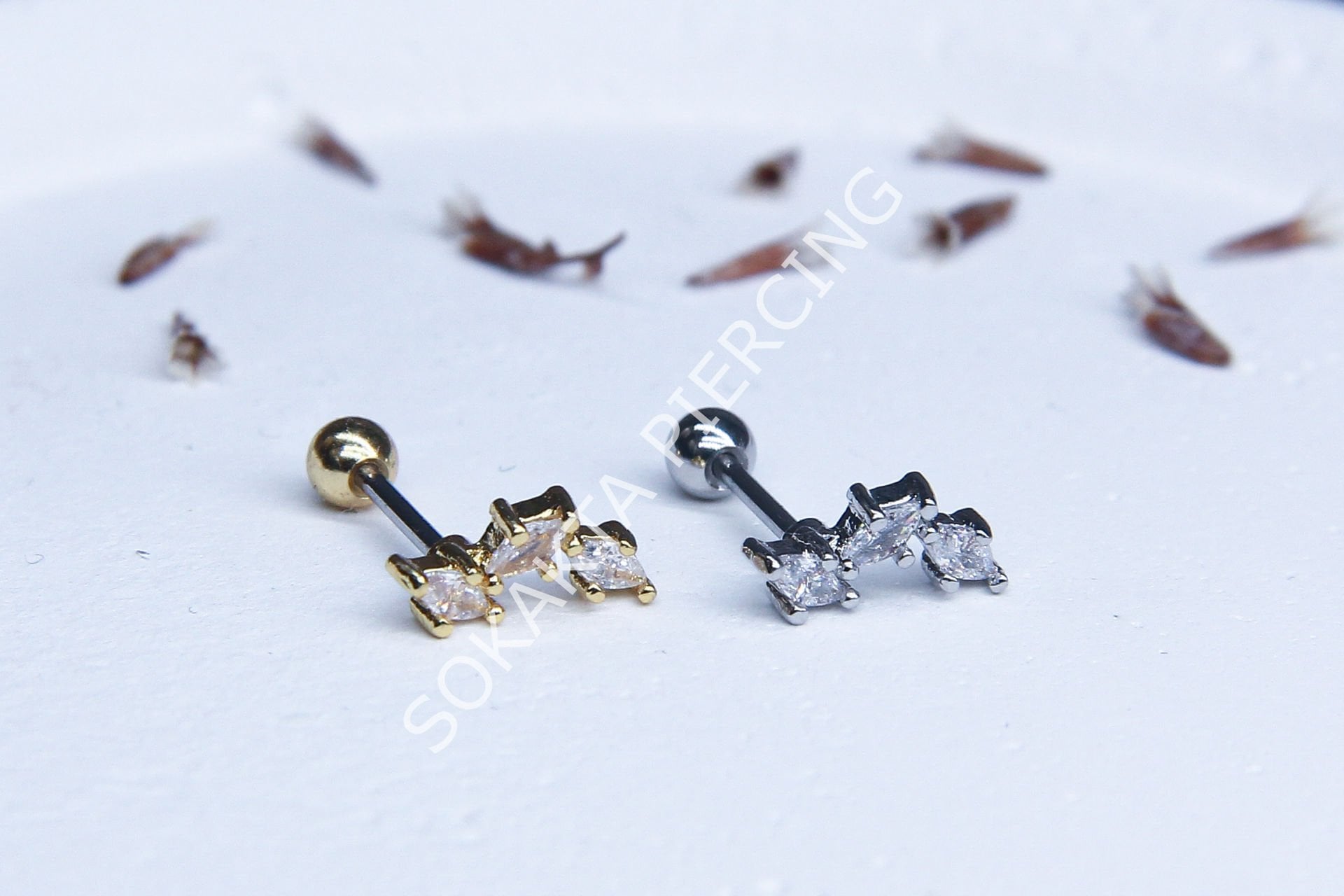B8 - TRAGUS Silver