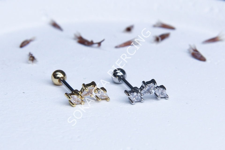 B8 - TRAGUS Silver