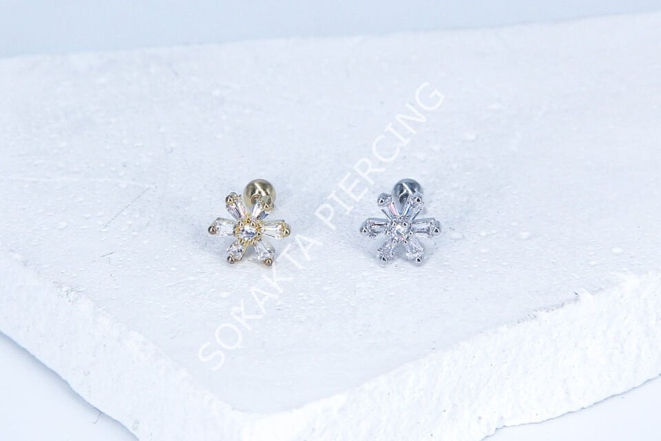 B55 - TRAGUS Gold
