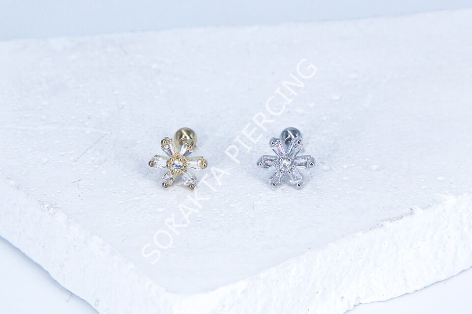 B55 - TRAGUS Silver