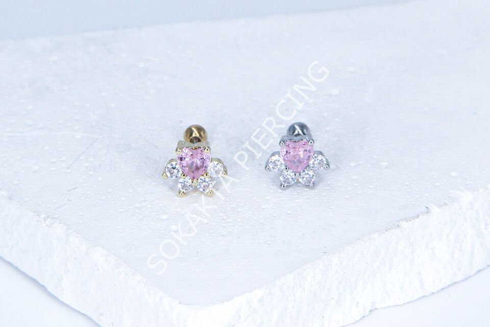 C60 - TRAGUS Gold