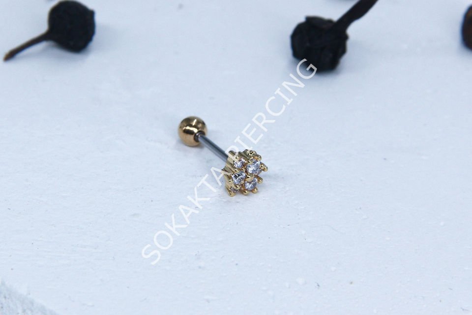 A25 - TRAGUS Silver