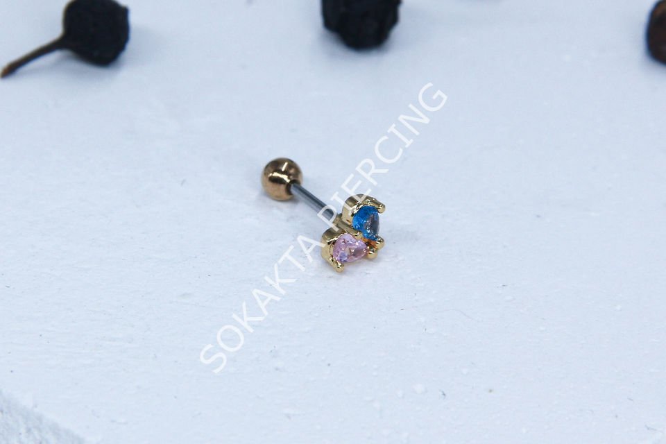 B45 - TRAGUS