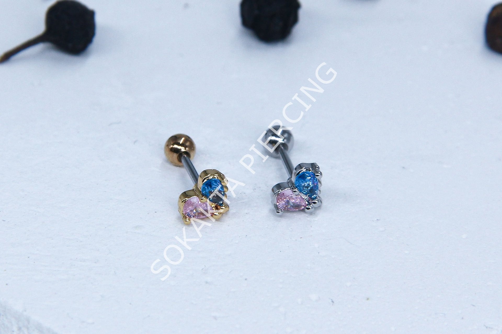 B45 - TRAGUS
