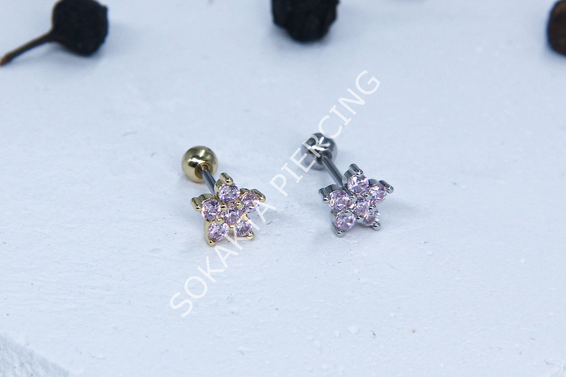 B48 - TRAGUS