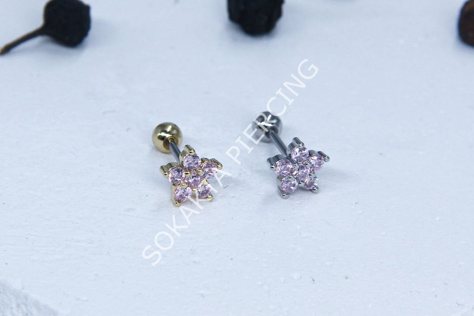 B48 - TRAGUS