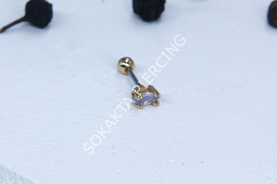 B102 - TRAGUS