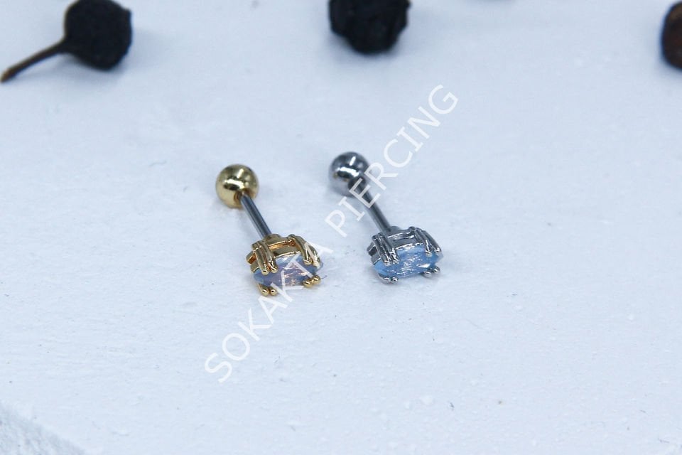 B102 - TRAGUS