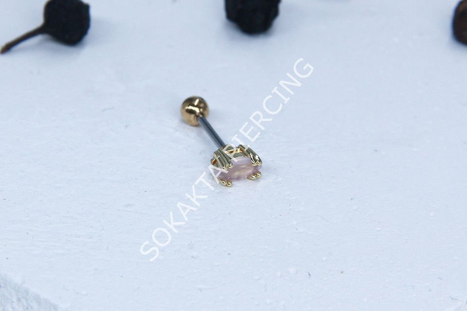 Z98 - TRAGUS
