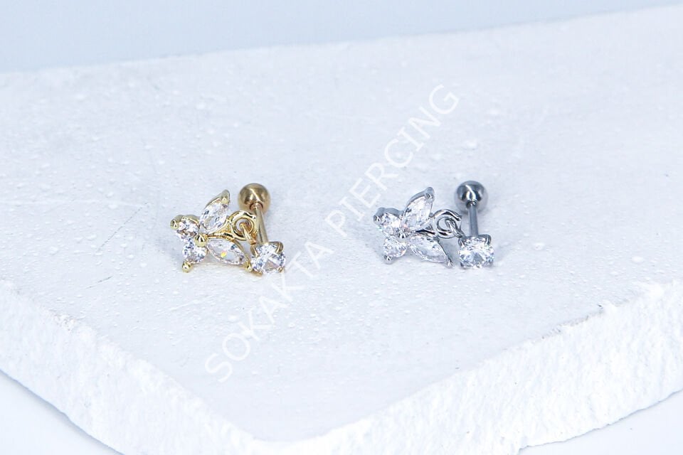 C63 - TRAGUS