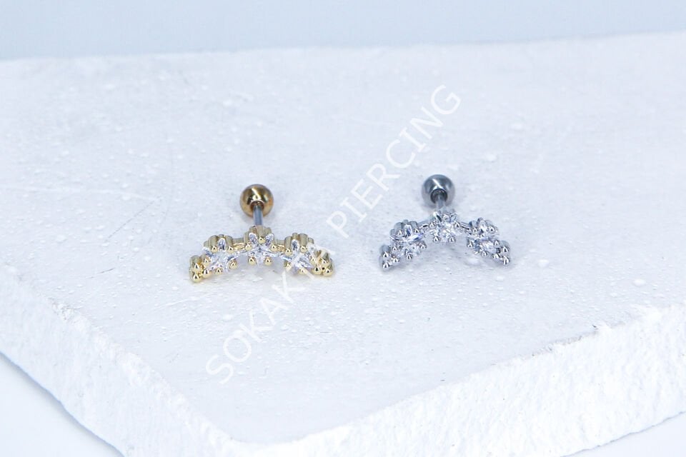 C70- TRAGUS Silver