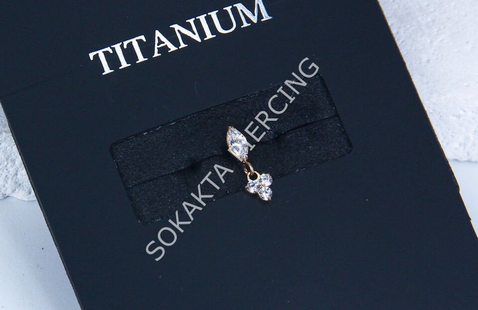 M109 - TITANIUM Silver