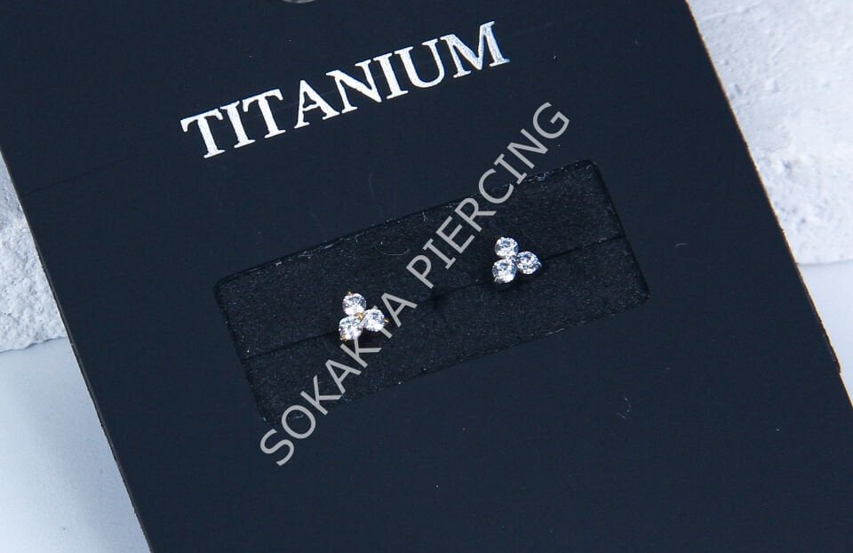 M81- TITANIUM Silver