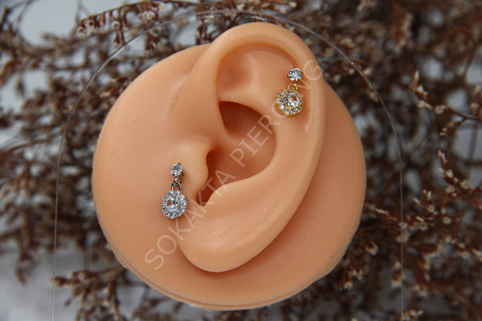 Z12 - SALLANTILI TRAGUS - HELİX