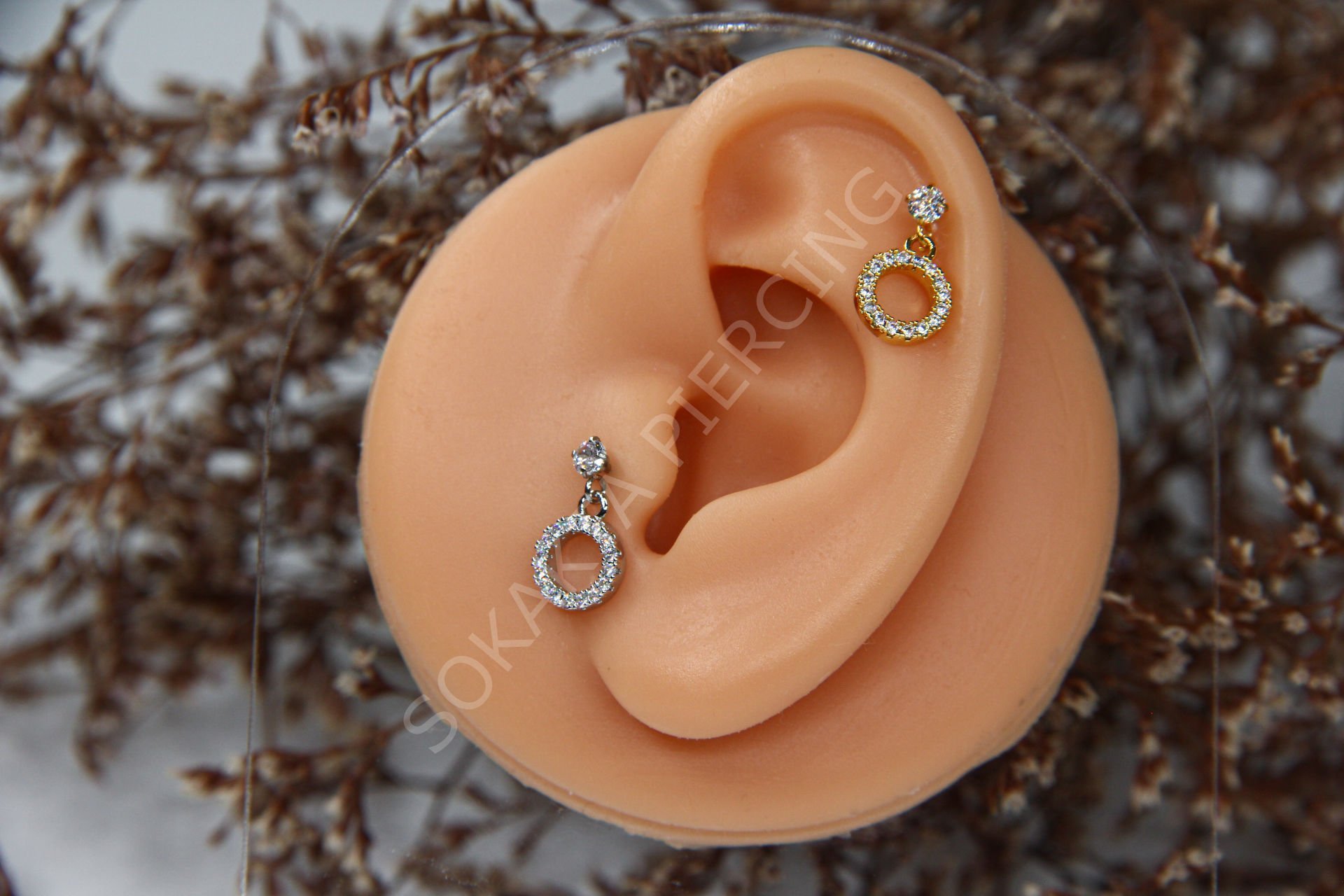 C9 - SALLANTILI TRAGUS - HELIX