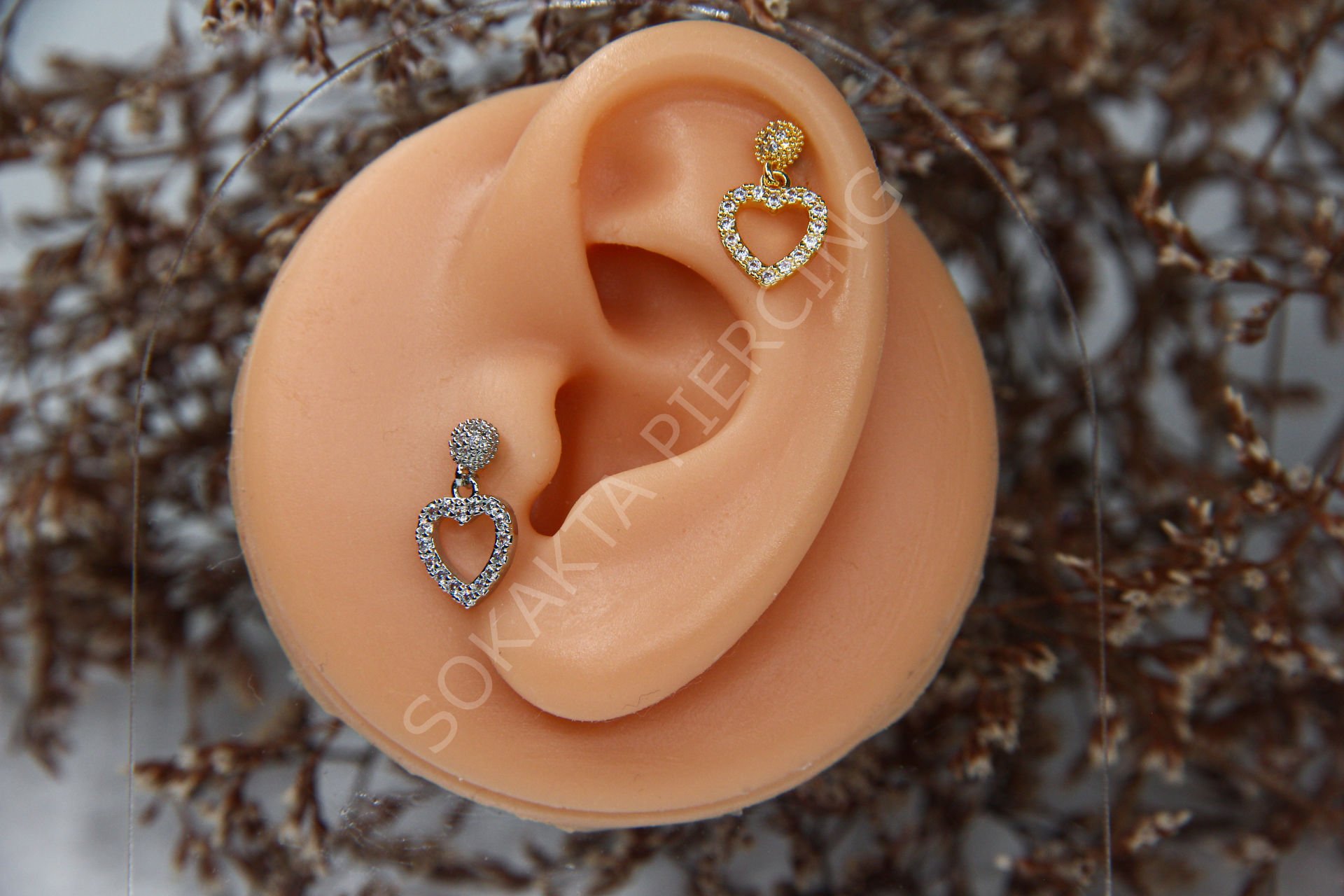 B106 - SALLANTILI TRAGUS - HELIX