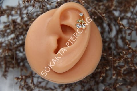 C9 - SALLANTILI TRAGUS - HELIX