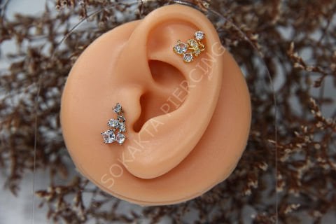 C9 - SALLANTILI TRAGUS - HELIX