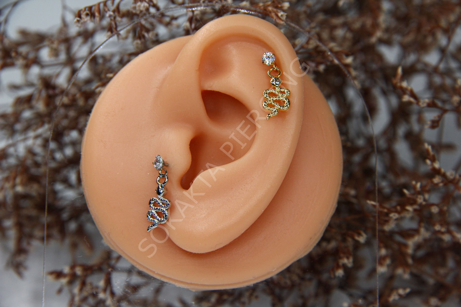 Z10 - SALLANTILI TRAGUS - HELIX