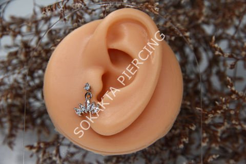 C4 - SALLANTILI TRAGUS - HELIX