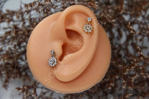 Z6 -  TRAGUS
