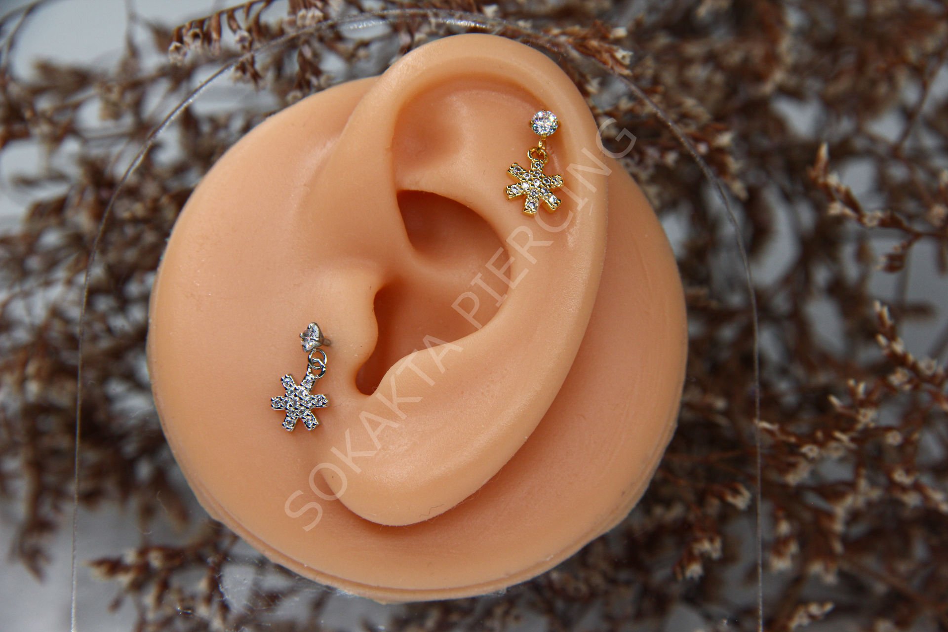 Z8 -  TRAGUS -