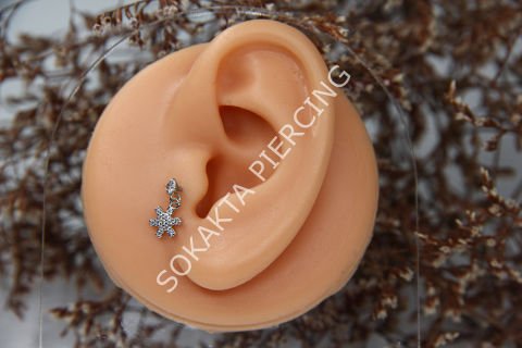 Z8 -  TRAGUS -
