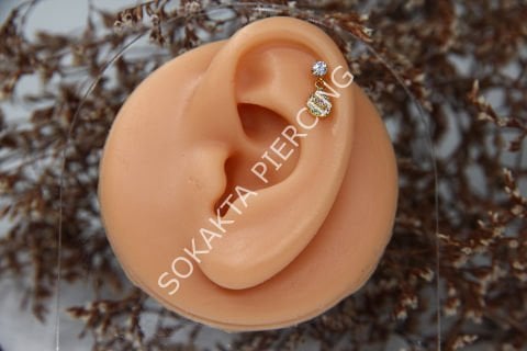 B108 - SALLANTILI TRAGUS