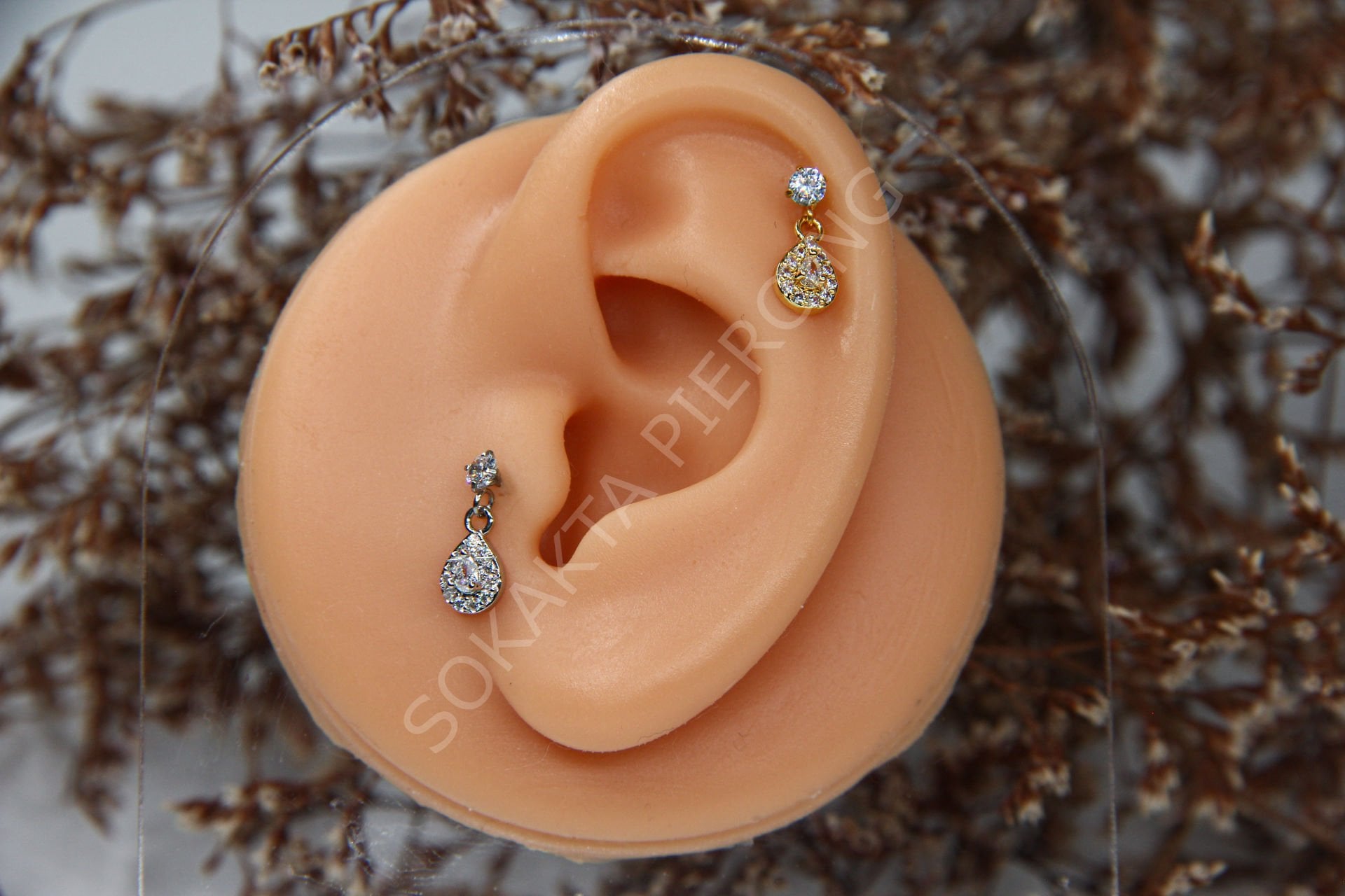 B108 - SALLANTILI TRAGUS