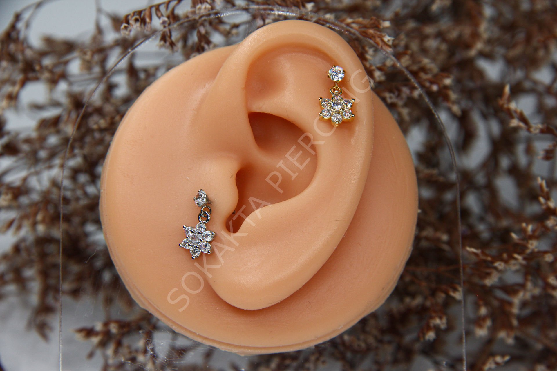 C2 - SALLANTILI TRAGUS  - HELIX