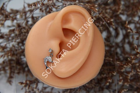 C1 - SALLANTILI TRAGUS - HELIX