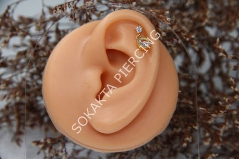 X18 - SALLANTILI TRAGUS - HELIX