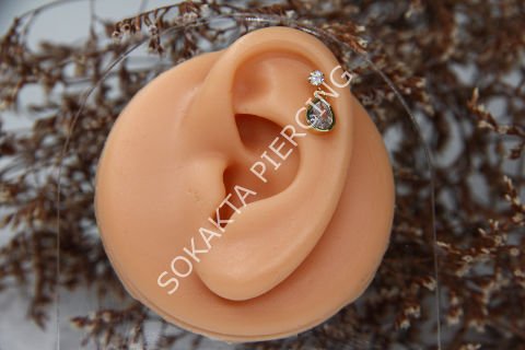 S5 - SALLANTILI TRAGUS - HELIX