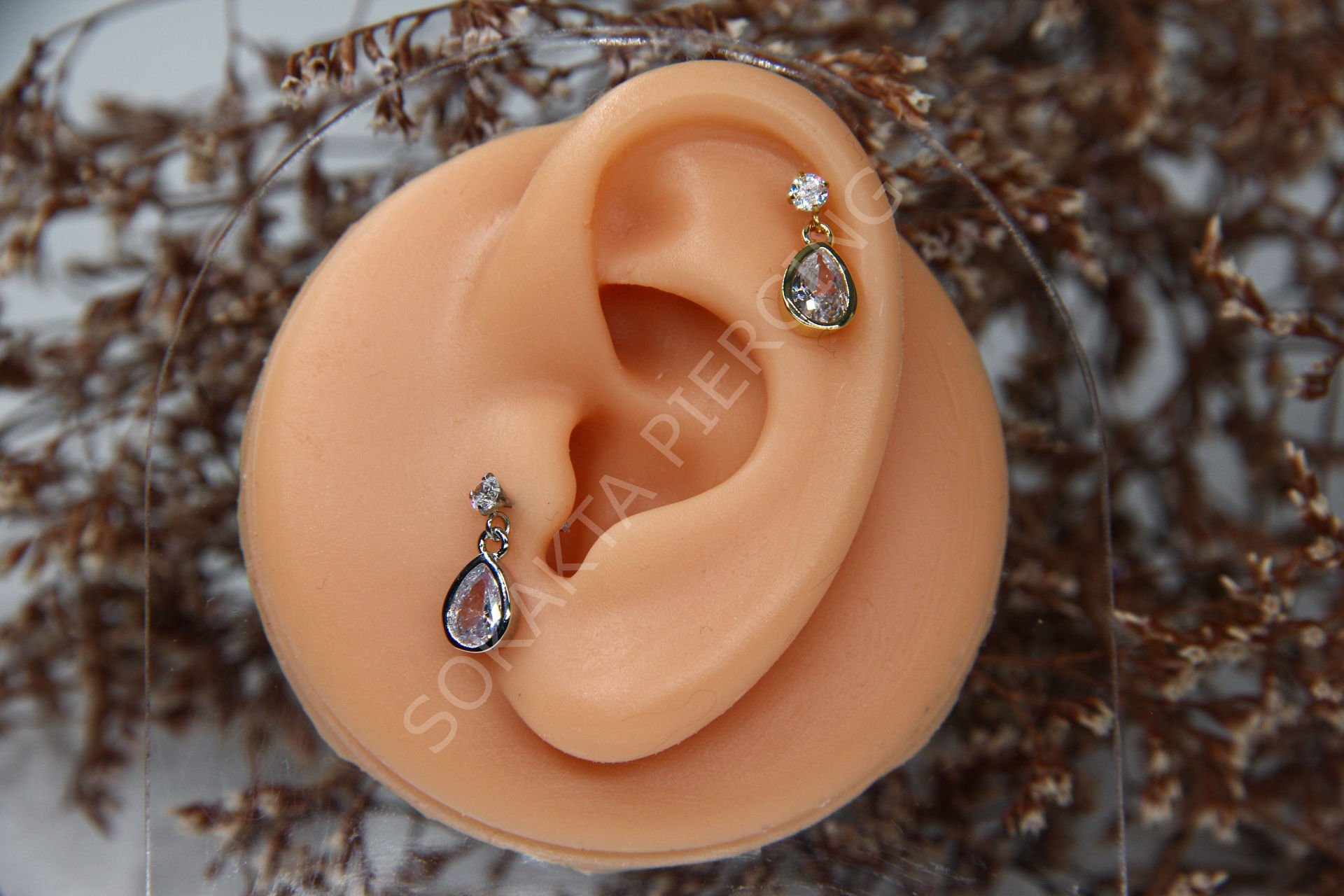 C5 - SALLANTILI TRAGUS - HELIX