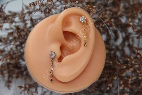 Z7 - SALLANTILI TRAGUS - HELIX