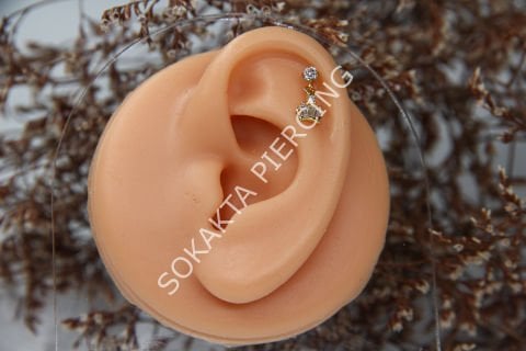 C7 - SALLANTILI TRAGUS - HELIX