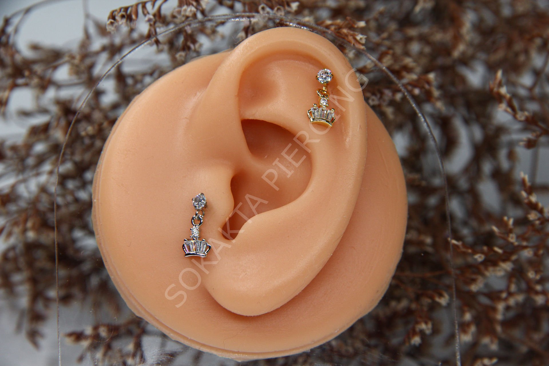 C7 - SALLANTILI TRAGUS - HELIX