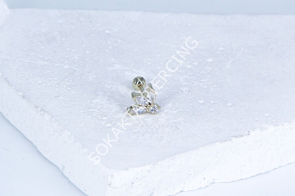 B89 - TRAGUS Gold