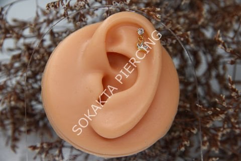 C3 - SALLANTILI TRAGUS - HELIX
