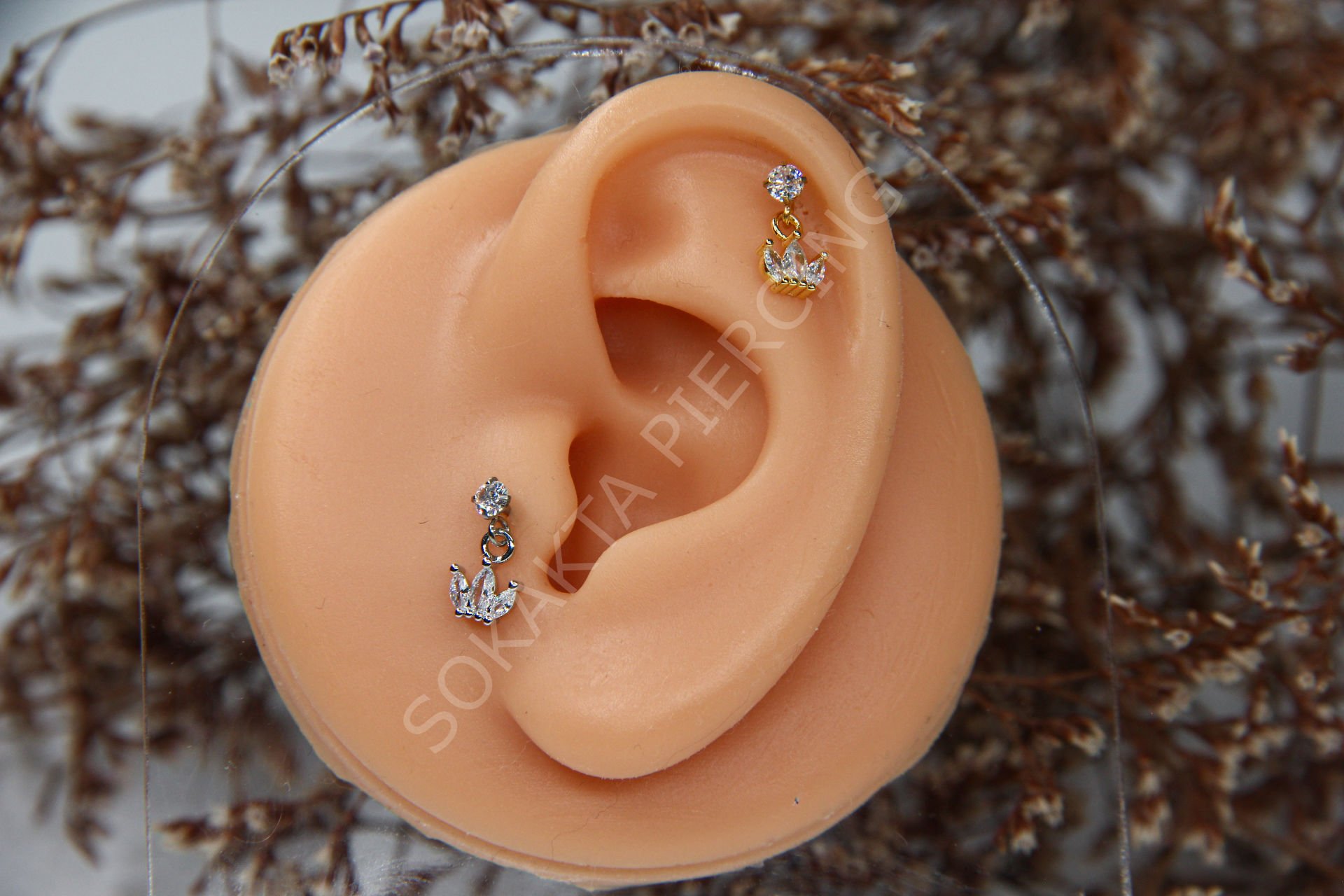 C3 - SALLANTILI TRAGUS - HELIX