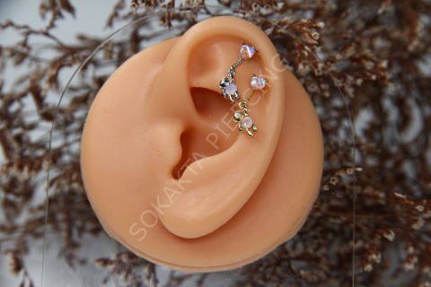 D36 - SALLANTILI HELIX