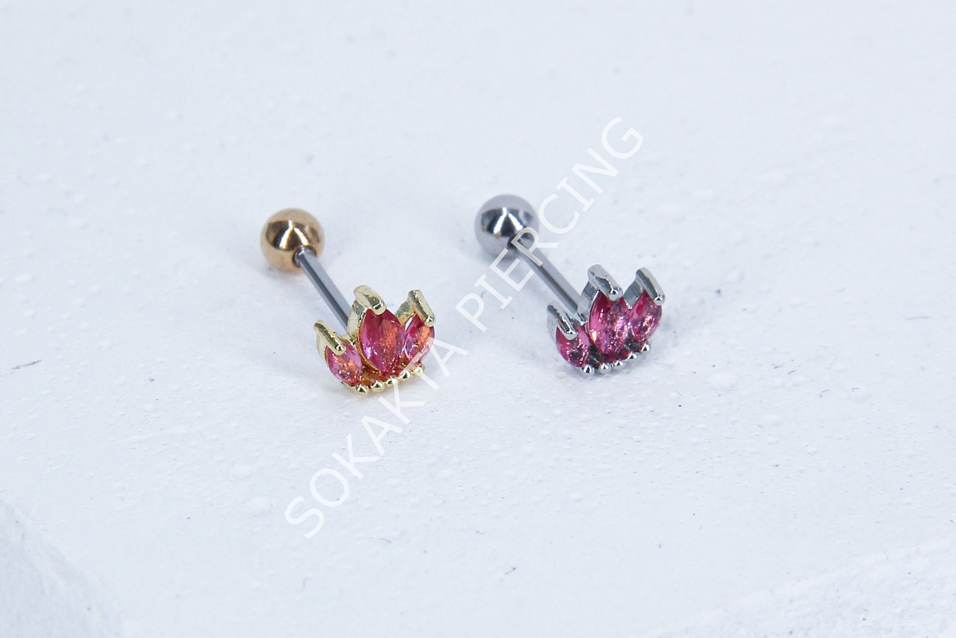 B33 - TRAGUS
