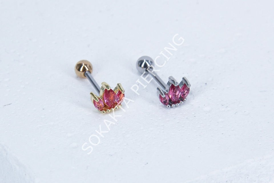 B33 - TRAGUS