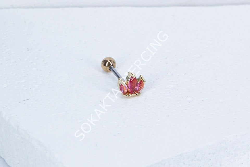 B33 - TRAGUS