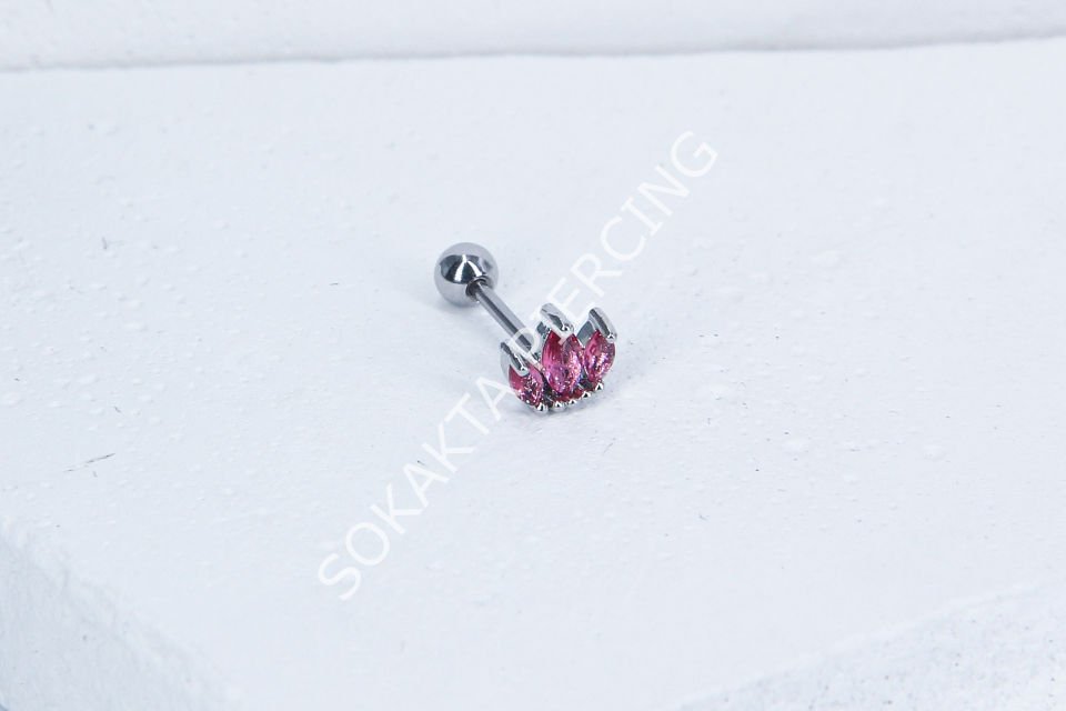 B33 - TRAGUS