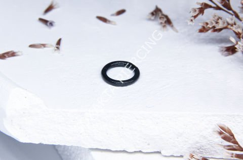 6 MM TAM TUR HALKA PİERCİNG