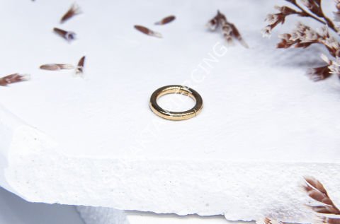6 MM TAM TUR HALKA PİERCİNG Gold