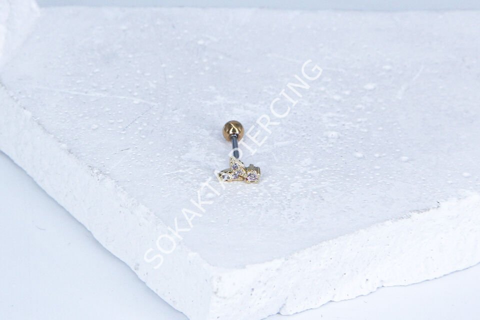 B60 - TRAGUS Gold